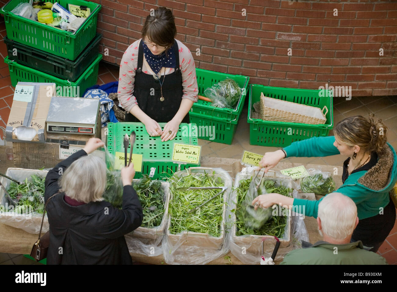 Menschen kaufen Gemüse und grünen am Bauernmarkt jeden Samstag ganzjährig in Troy, New York Stockfoto