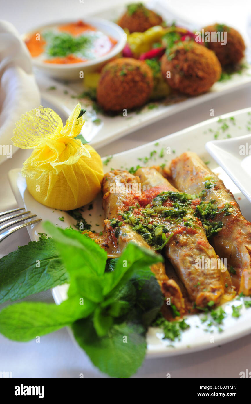 Libanesische Küche Malfoof Mehechi und Falafel Stockfoto