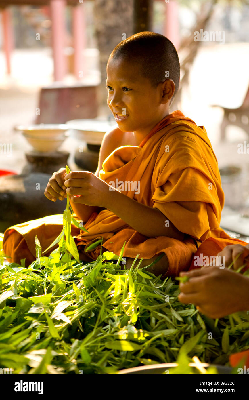Junge Mönche peeling Blätter am Angkor Wat, Kambodscha Stockfoto