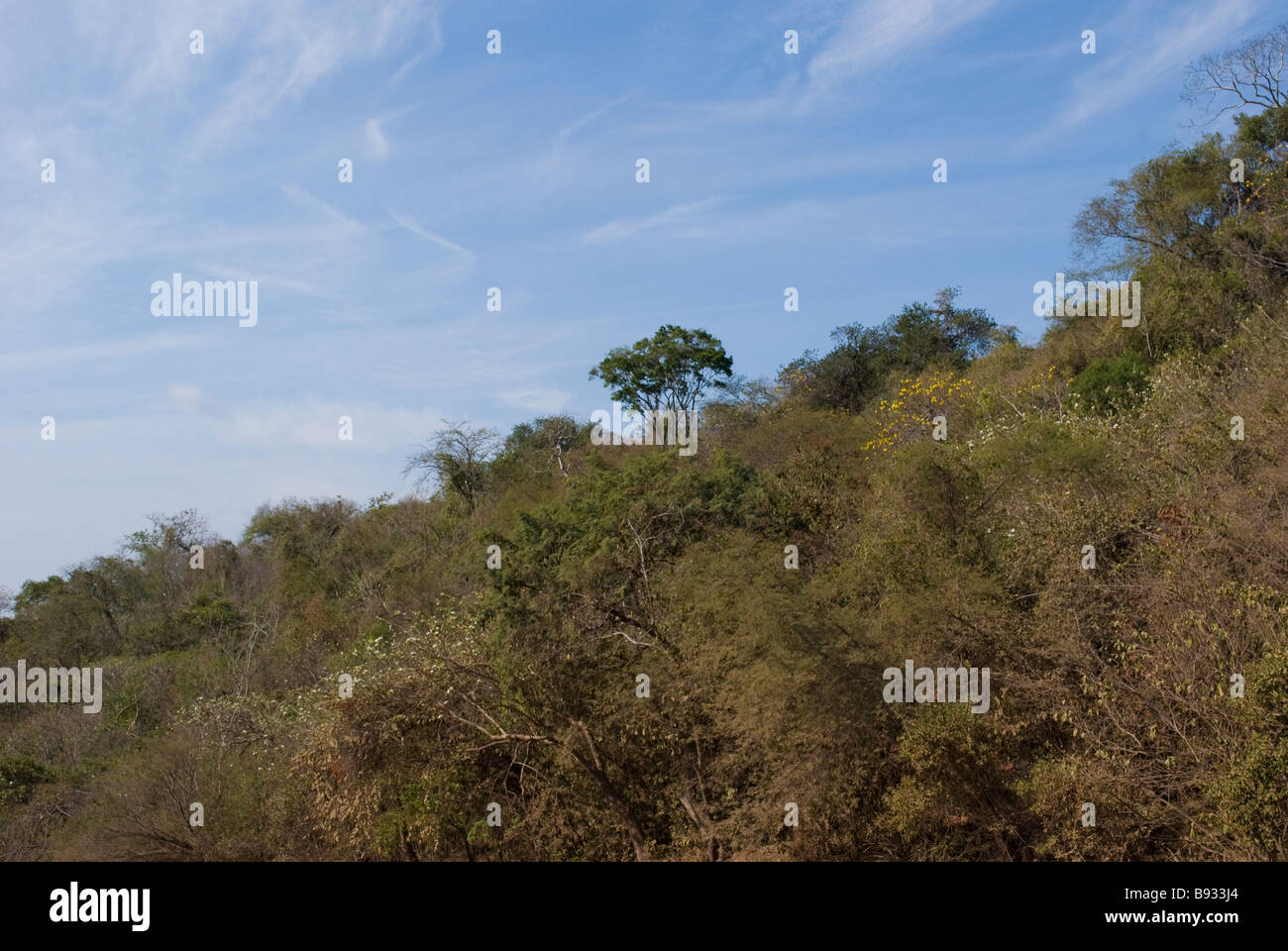Reserva Ecologica in der Nähe von Cosala, Bundesstaat Sinaloa, Mexiko Stockfoto