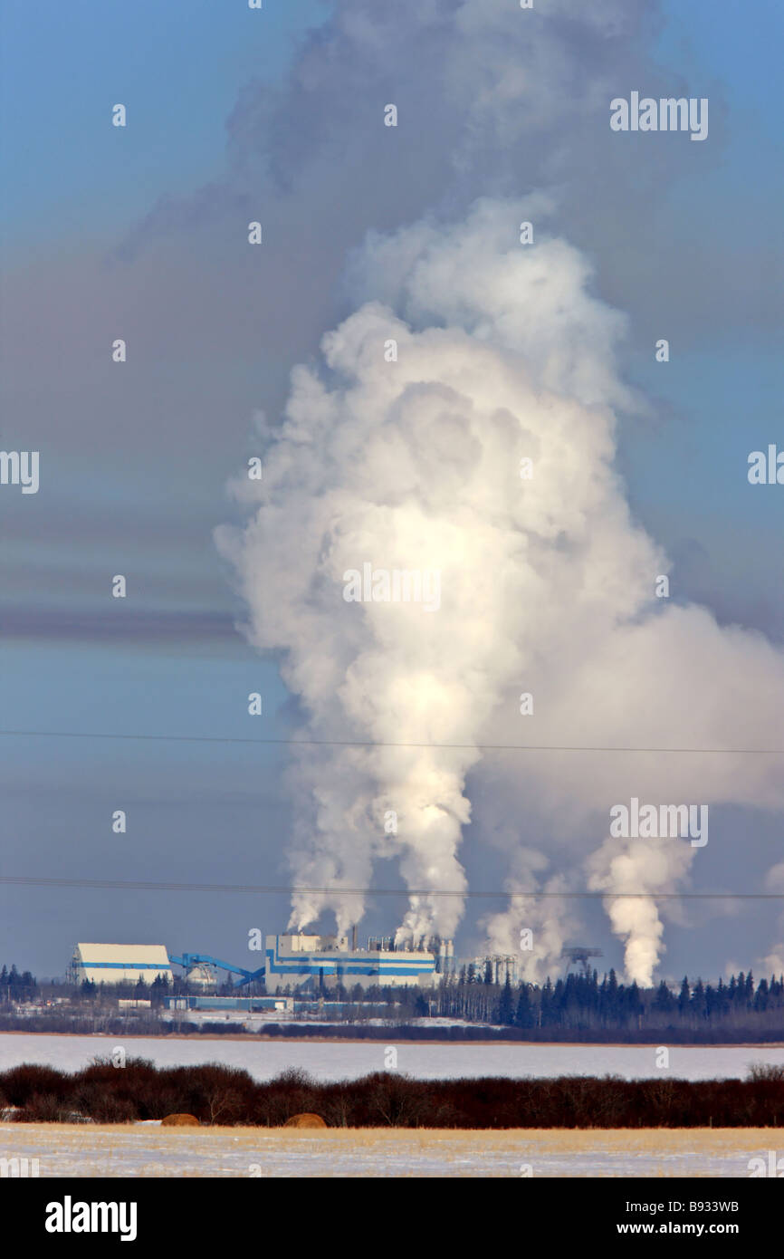 Stromleitungen und Pulp Mill Verschmutzung Stockfoto