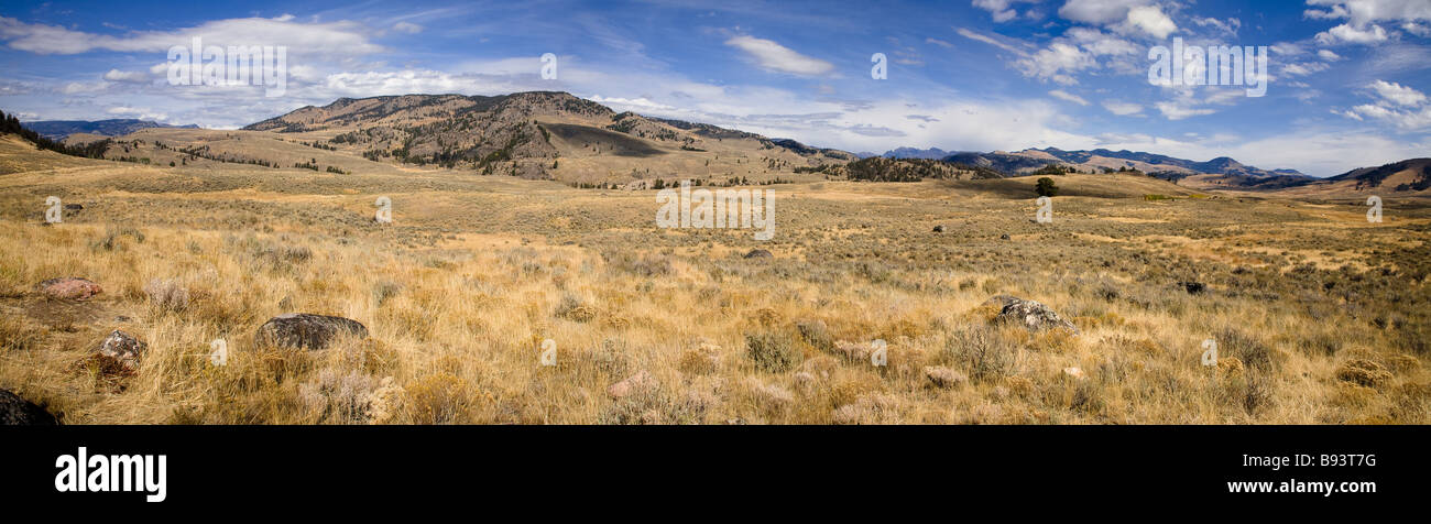 Panoramablick über Lamar Valley Yellowstone National Park in Wyoming USA Stockfoto