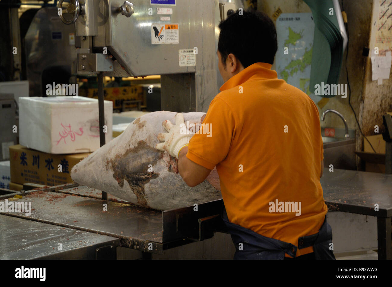 Ein Arbeiter in Tokios Tsukiji-Fischmarkt schneidet auf gefrorenen Thunfisch mit einer Bandsäge Stockfoto