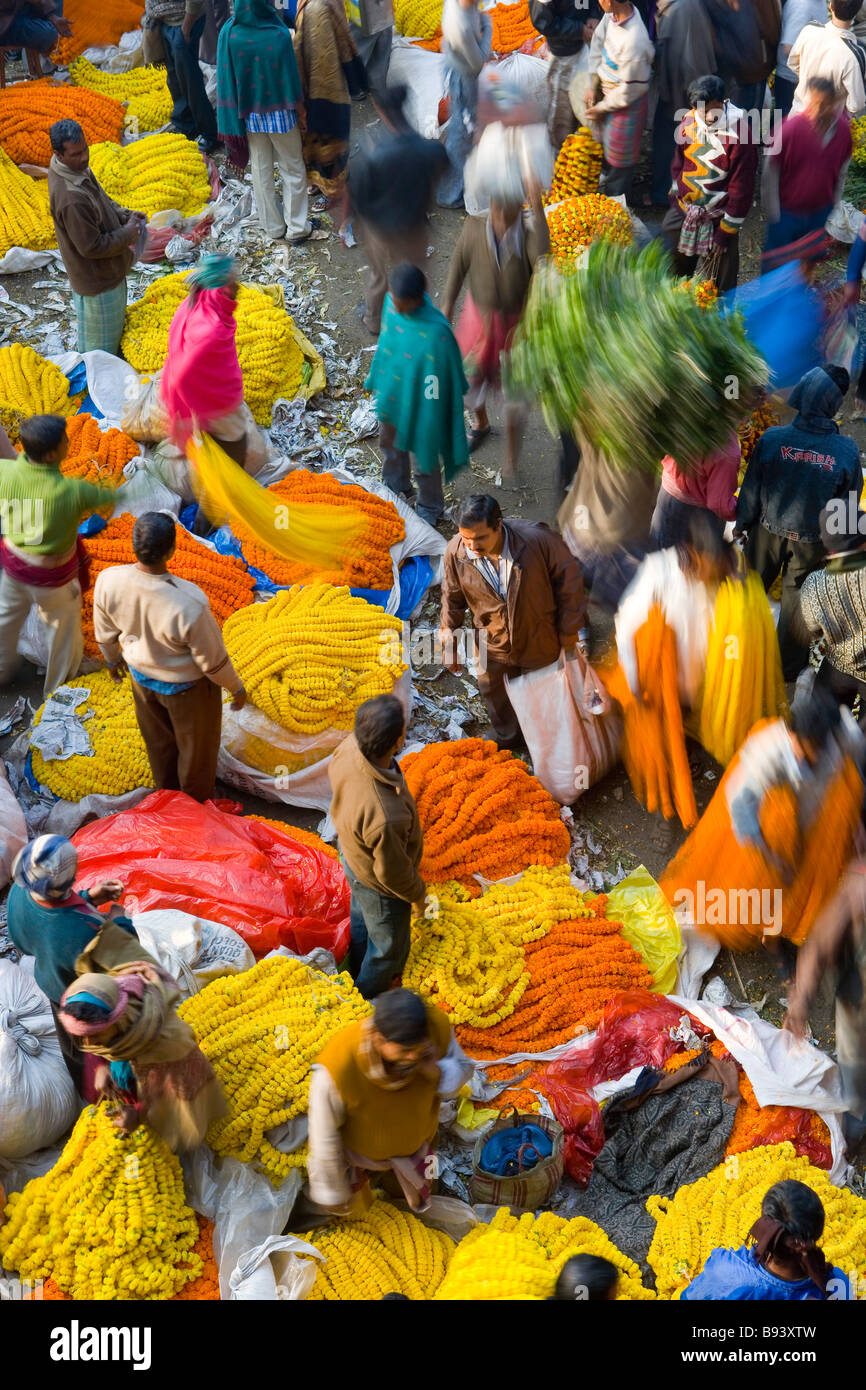 Flower Market Kalkutta oder Kalkutta, Westbengalen, Indien Stockfoto