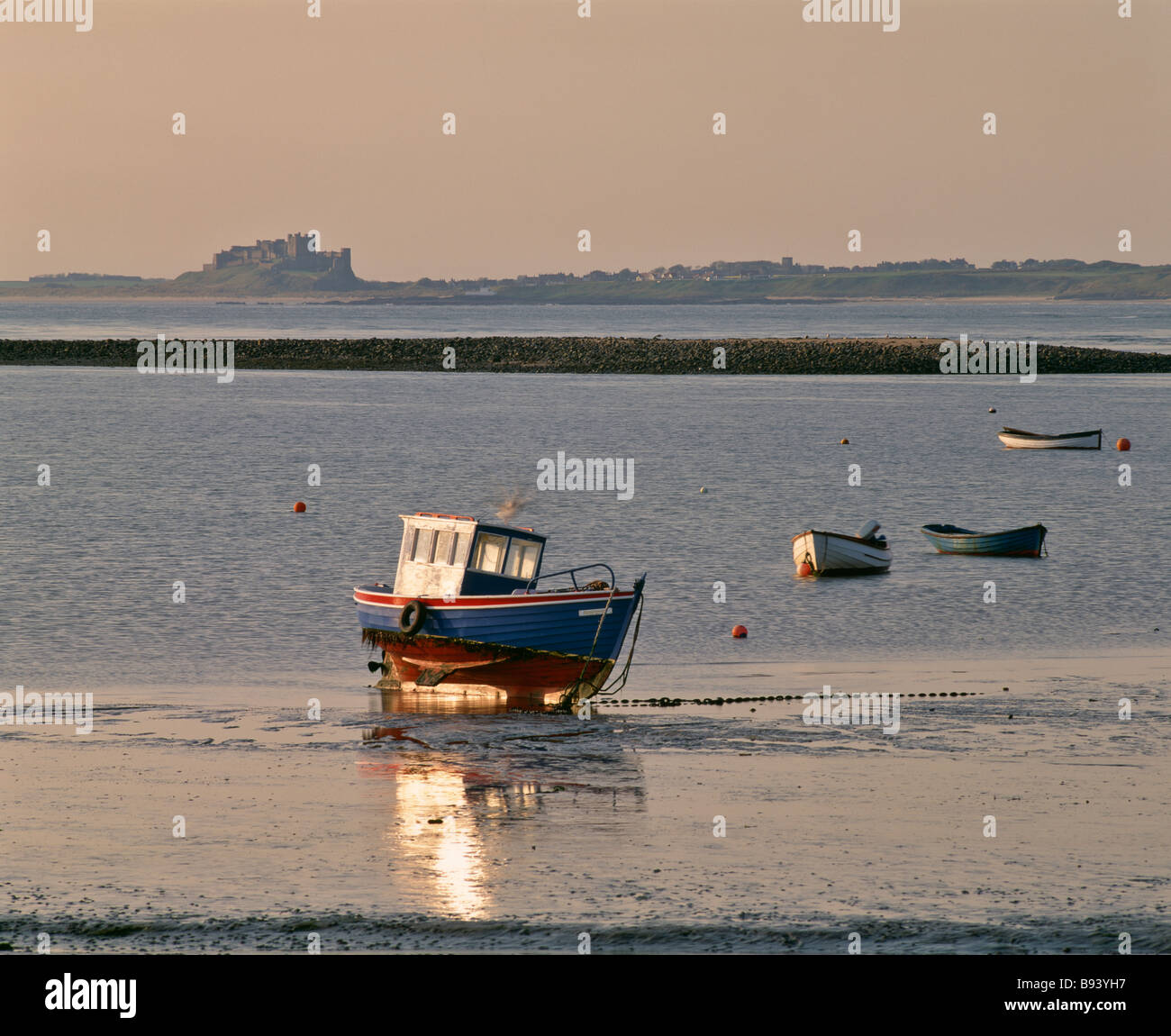 Abendlicht auf Booten im Hafen von Lindisfarne mit Bamburgh Castle in der Ferne Holy Island Northumberland, England Stockfoto