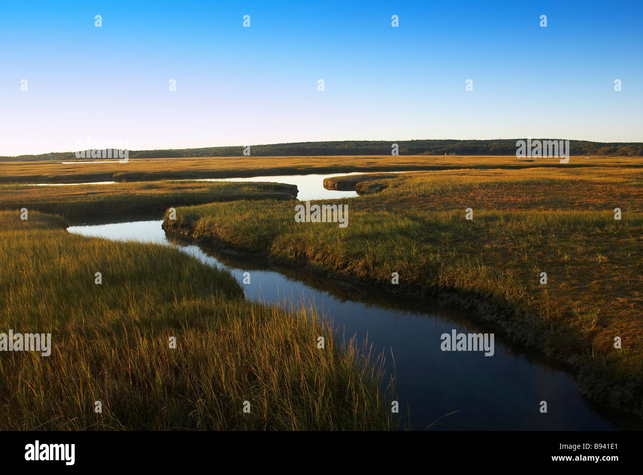 Salzwiesen bei Sunrise Sandwich Cape Cod Massachusetts, USA Stockfoto