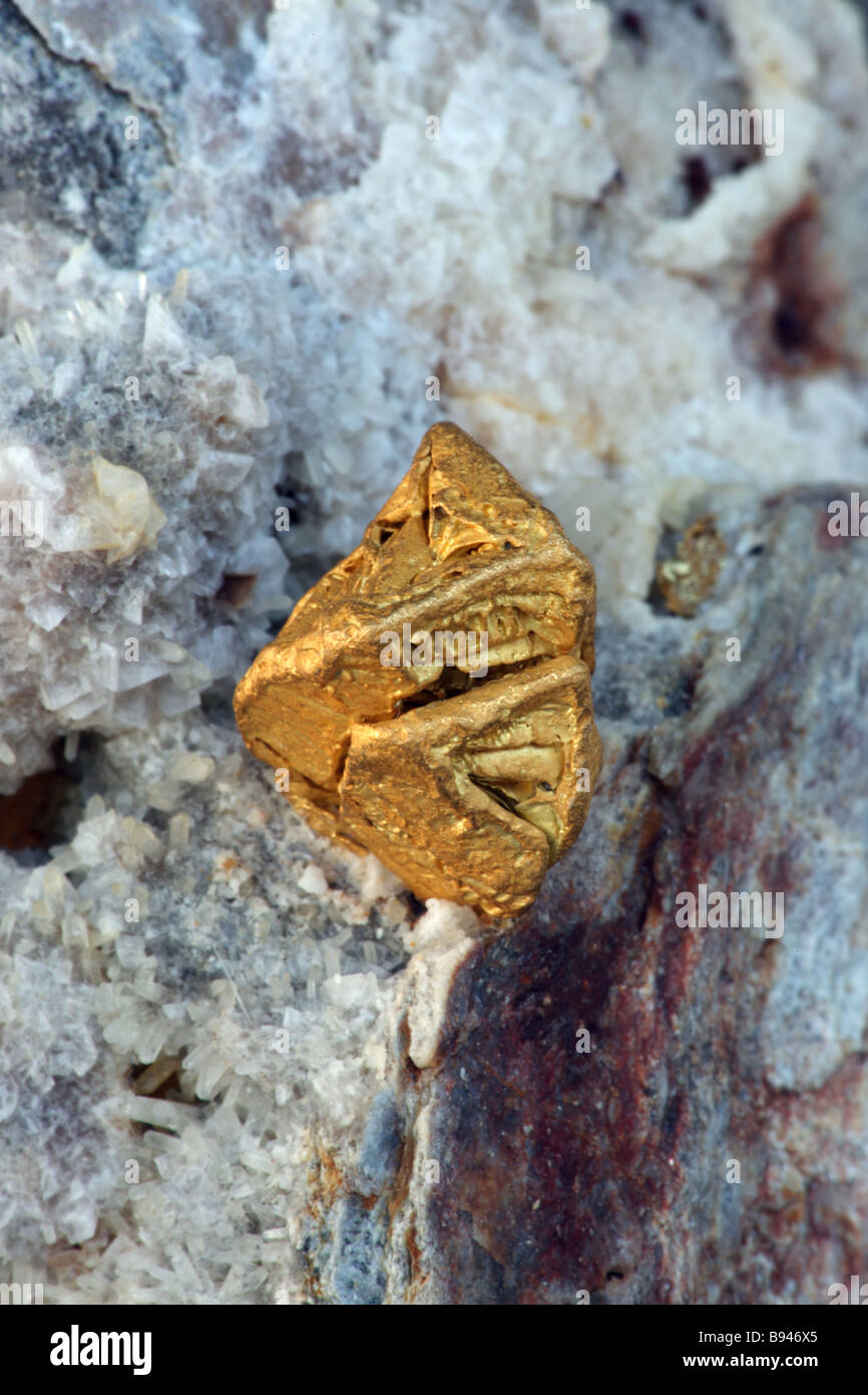 Gediegenes Gold auf Quarz - Nevada - USA Stockfoto