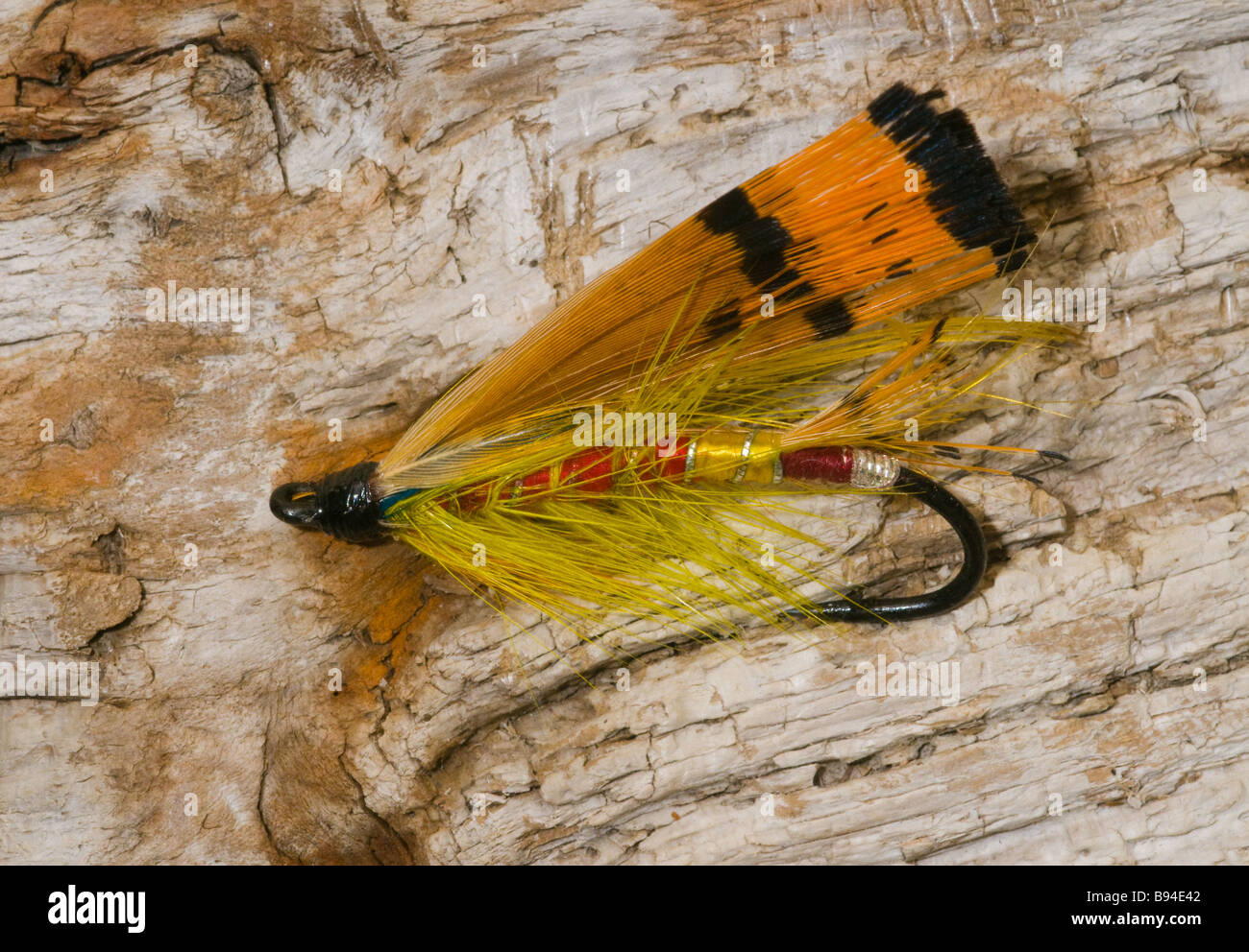 Lachs Angeln fly Stockfoto