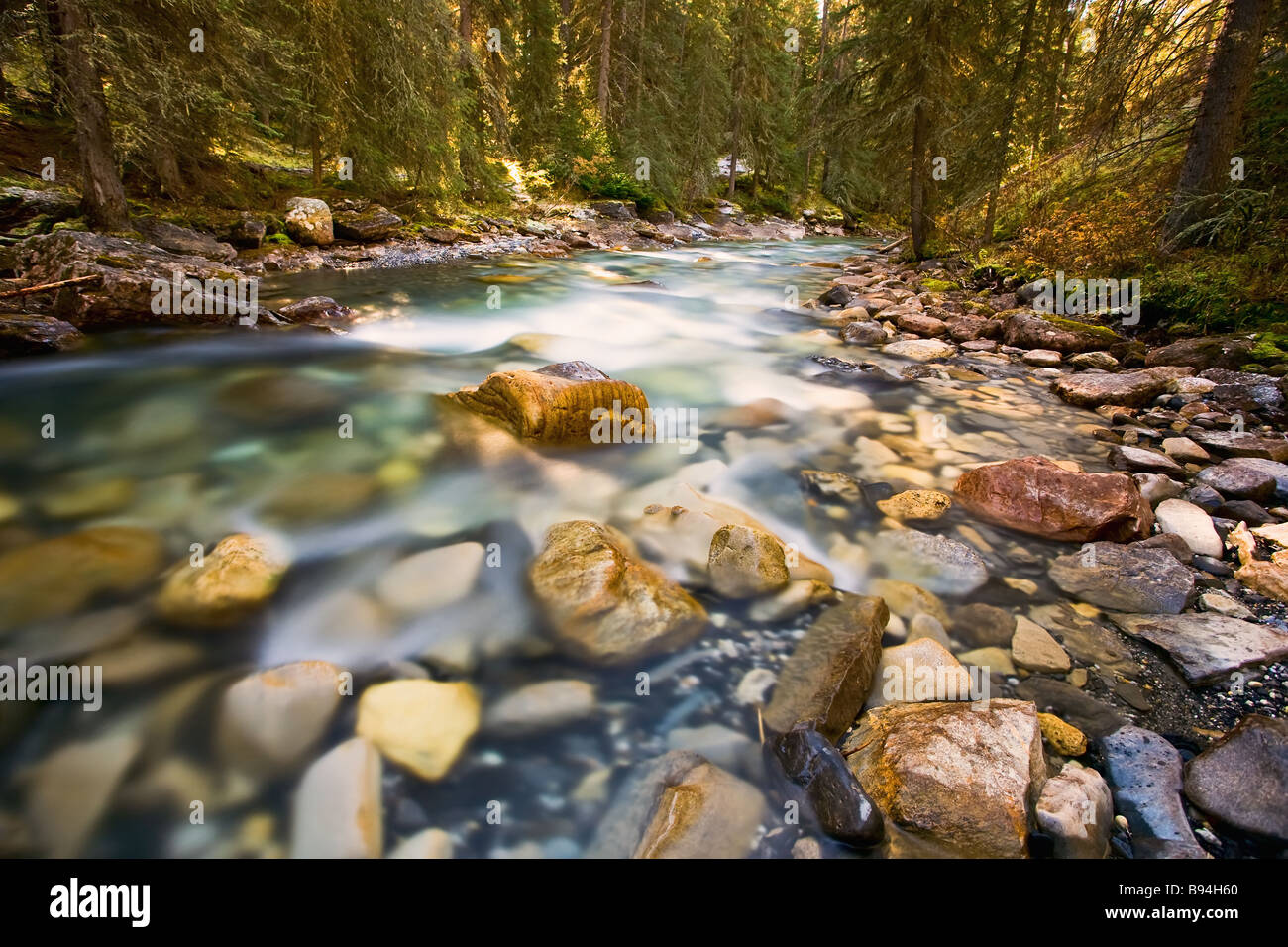 Johnston Canyon Creek, Banff Nationalpark, Alberta, Kanada. Stockfoto