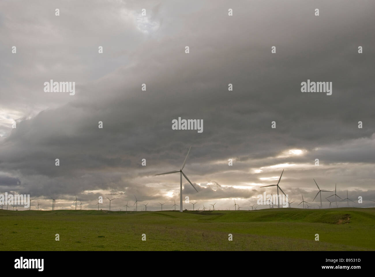 Shiloh Windkraft-Projekt in der Nähe von Rio Vista Kalifornien Vereinigte Staaten Stockfoto