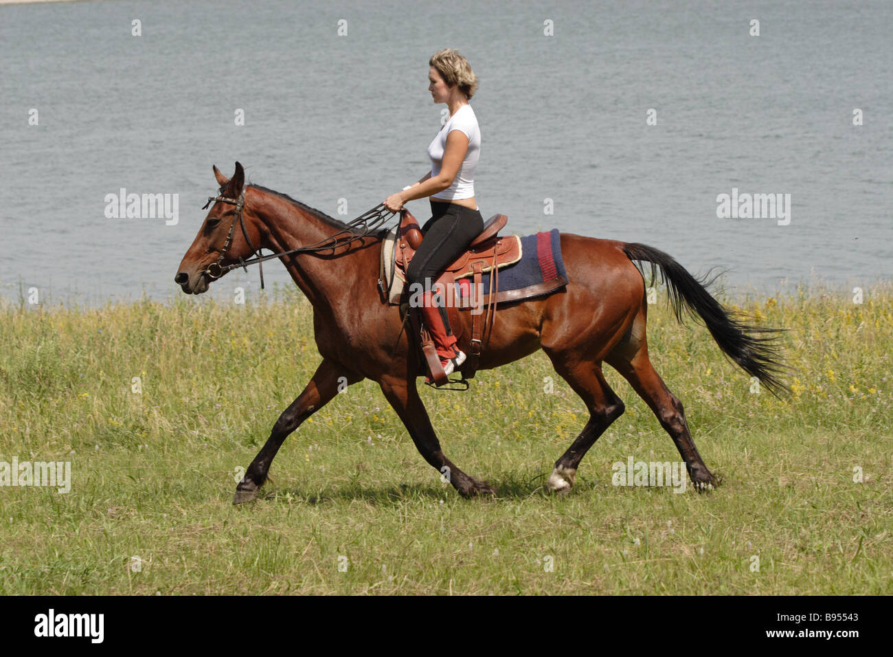 Mädchen und Pferd im Trab auf Wiese Stockfoto