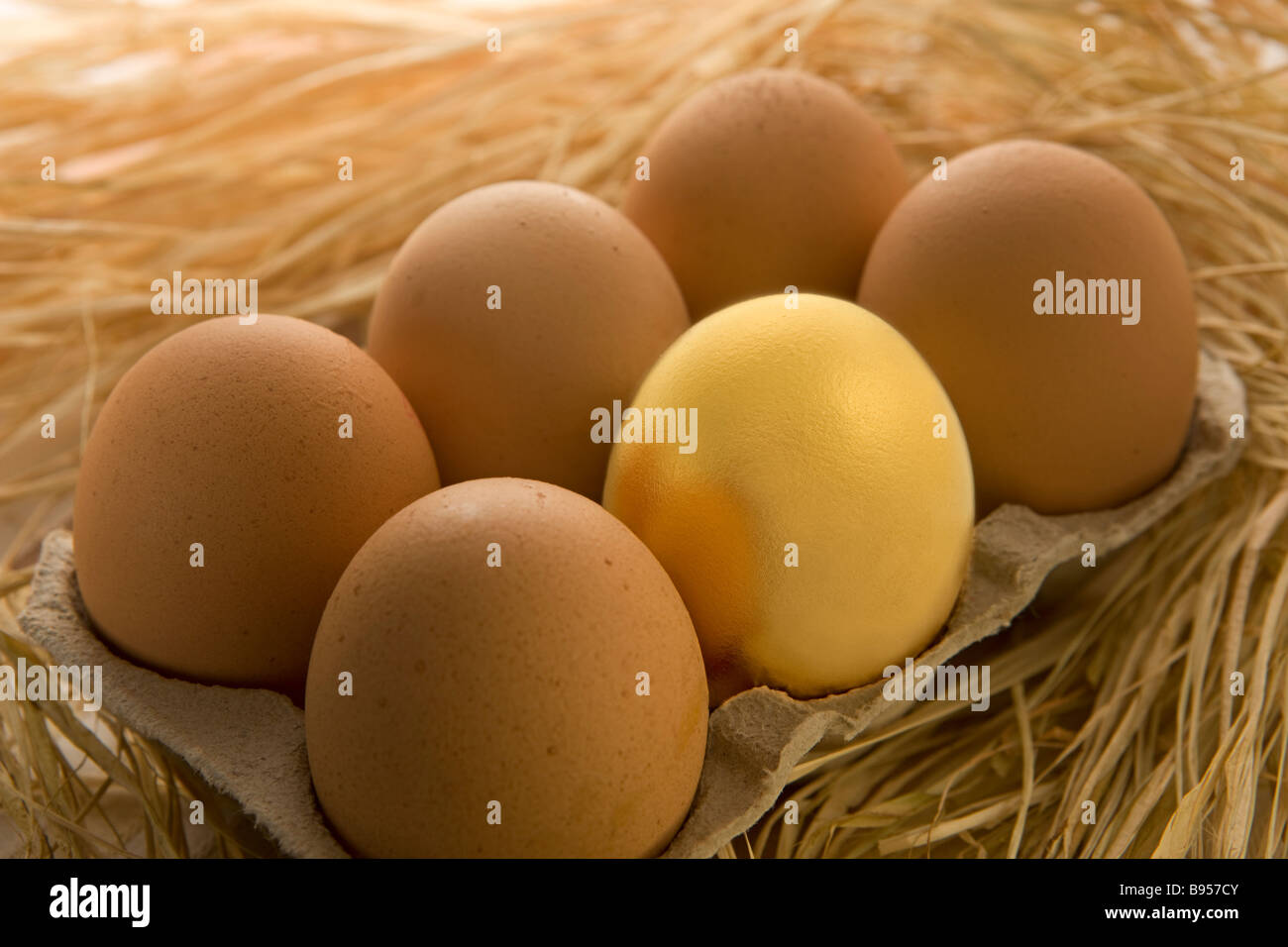 Goldenes Ei in eggbox Stockfoto