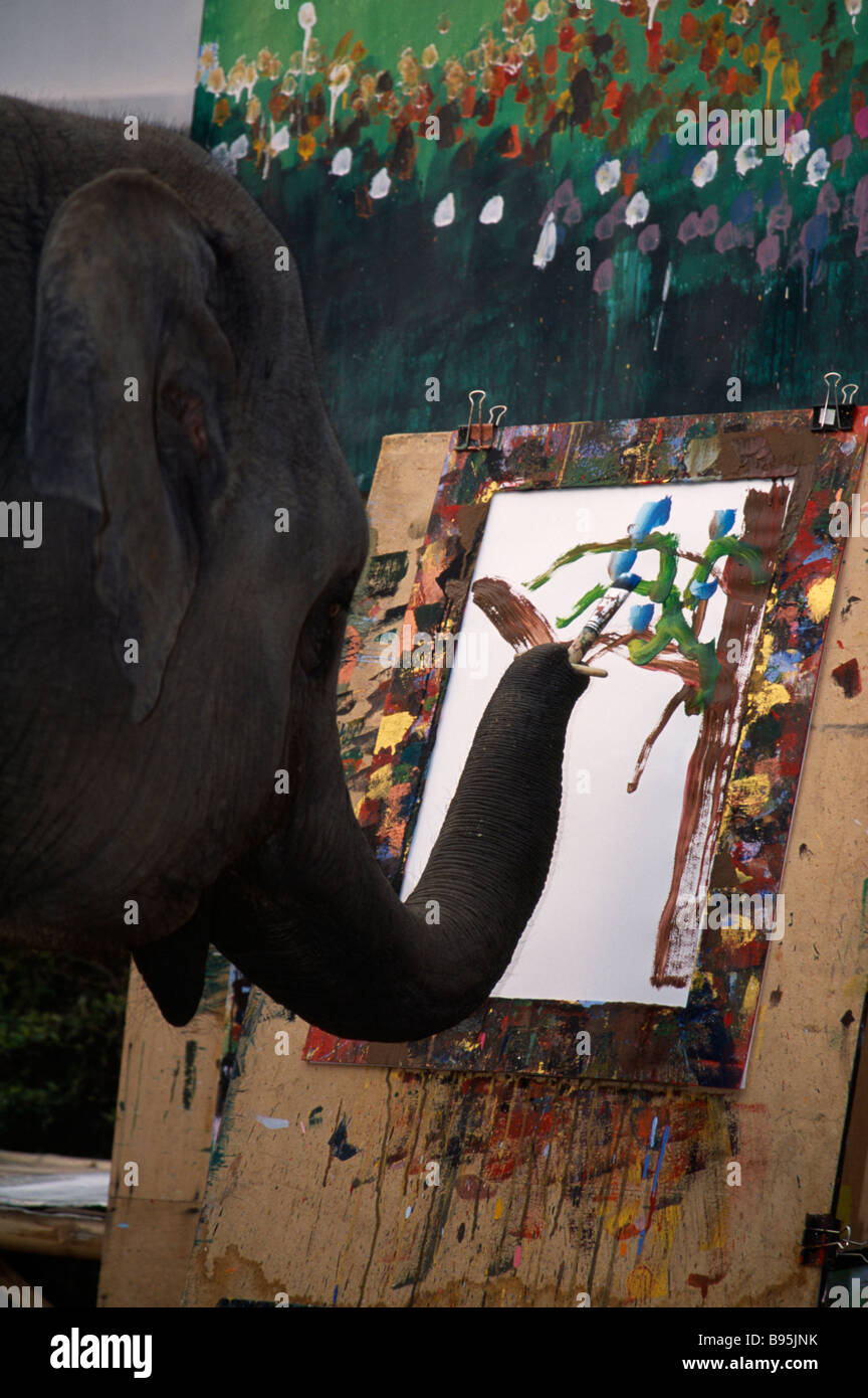 THAILAND Nord Chiang Mai ein Elefant aus Maesa Elephant Camp Malerei Bild von Orchideen hält Pinsel mit seinem Rüssel Stockfoto