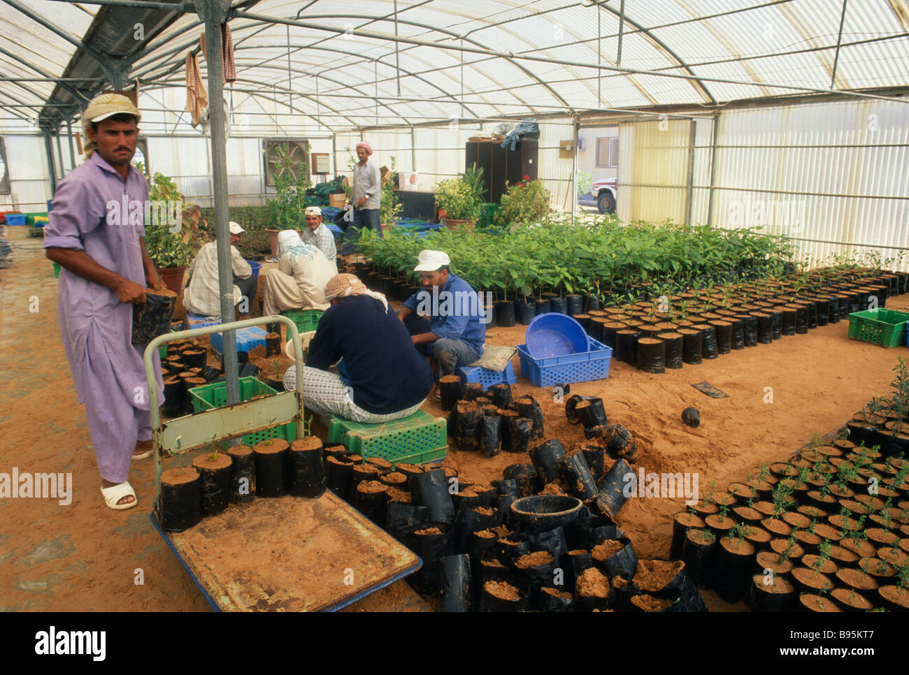 Vereinigte Arabische Emirate Abu Dhabi Al Sammaliah Stockfoto