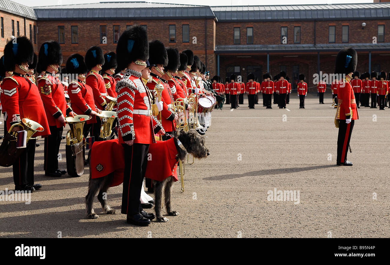 Das 1. Bataillon der Irish Guards auf Victoria Barracks Windsor UK am