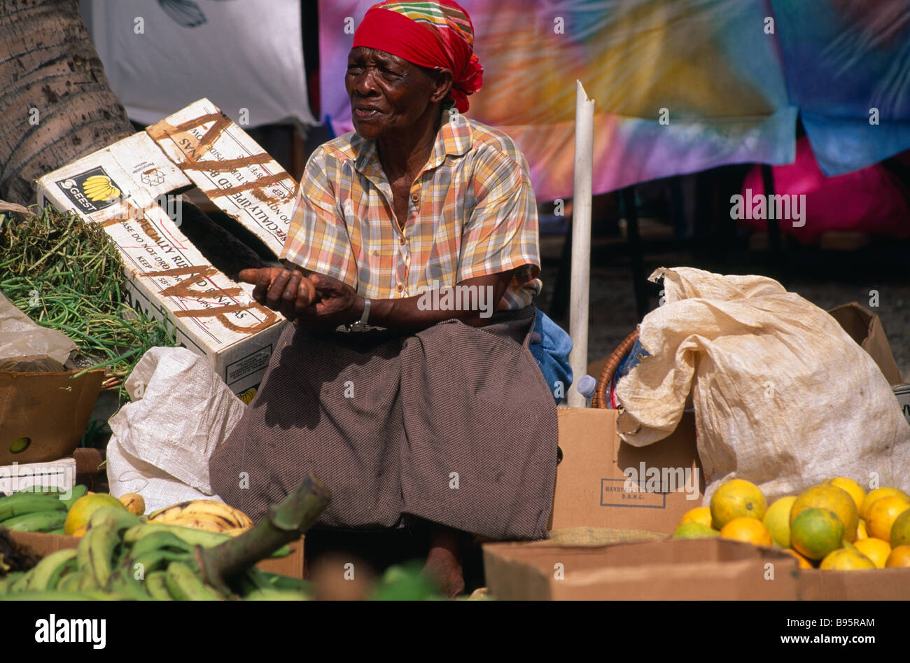 NIEDERLÄNDISCHE ANTILES St Maarten Marigot Frau Standbesitzer in Obst- und Gemüsemarkt. Stockfoto