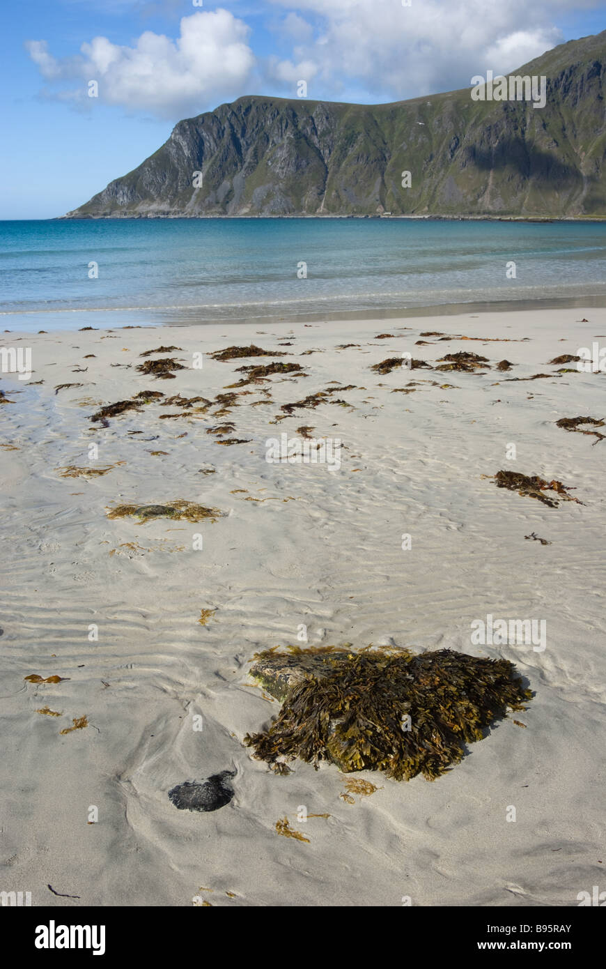 Sandstrand in der Nähe von Ramberg, Flakstad, Flakstadøya island, Lofoten Inseln, Nordland, Norwegen, Skandinavien, Europa Stockfoto