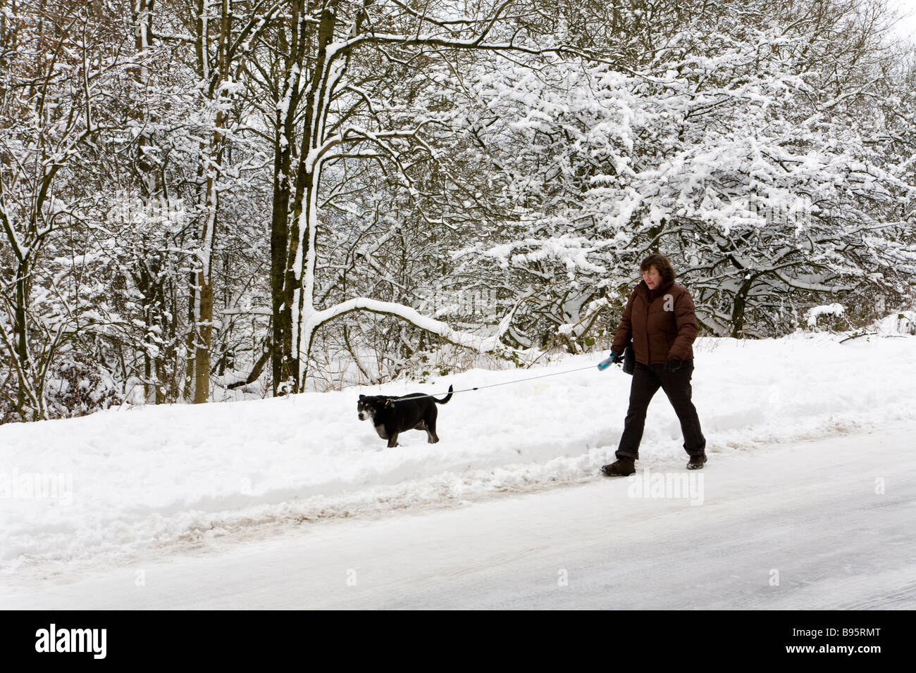 Spaziergang mit dem Hund auf den Cotswolds im Winterschnee am Barrow Wake, Gloucestershire Stockfoto