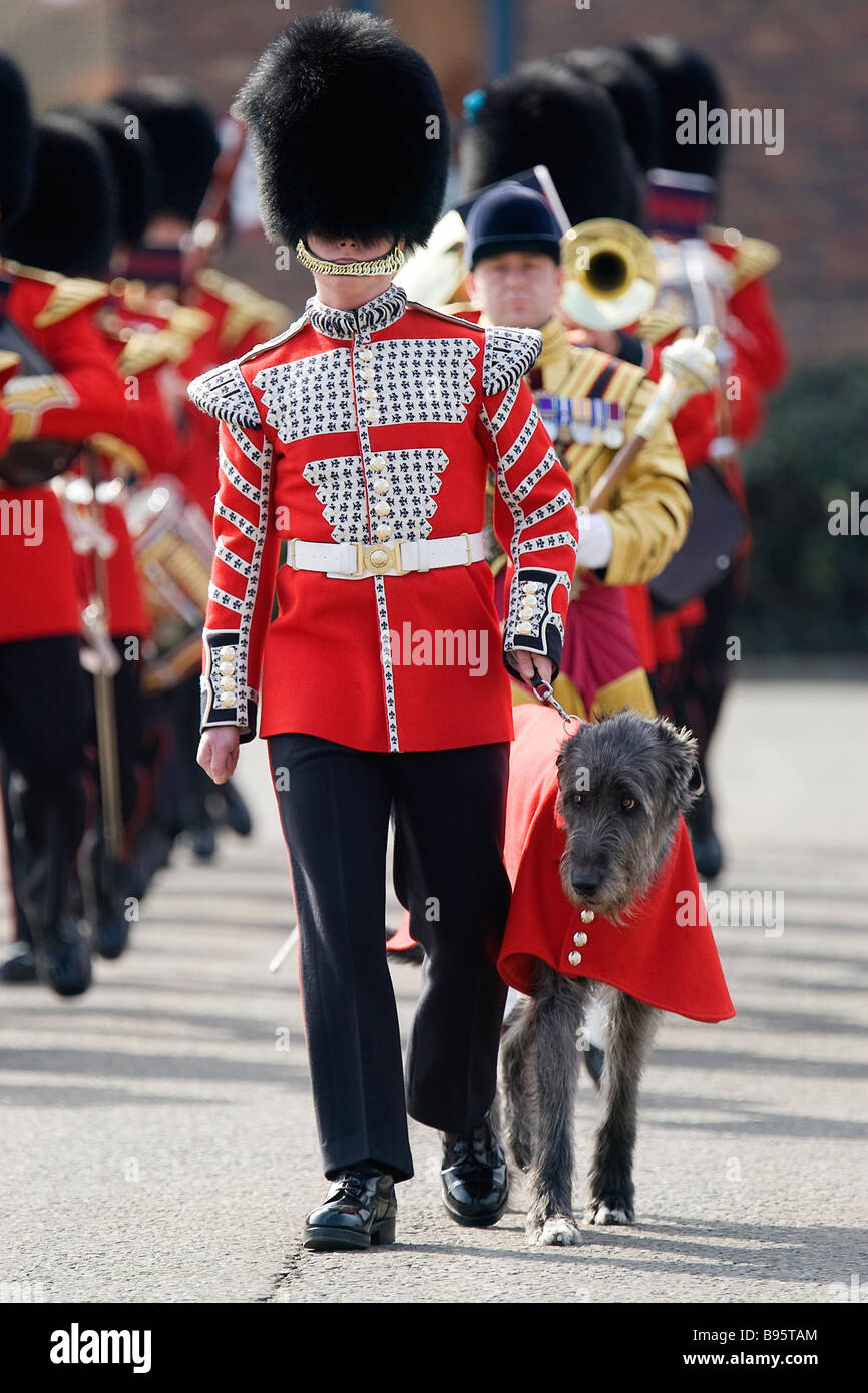 Das 1. Bataillon der Irish Guards auf Victoria Barracks Windsor UK am St. Patricks Day parade Stockfoto