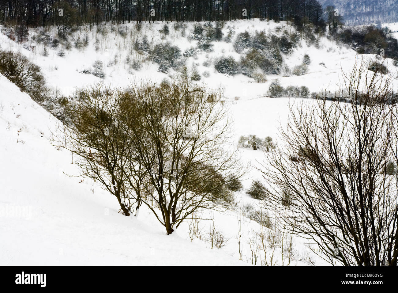 Winterschnee auf die Cotswold Böschung am Barrow Wake, Gloucestershire Stockfoto