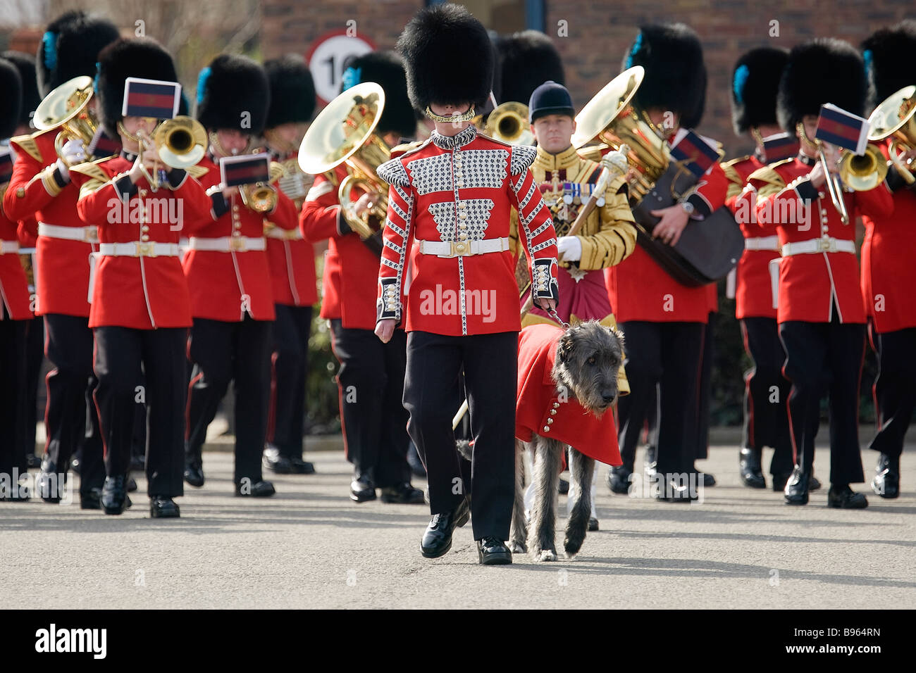 Das 1. Bataillon der Irish Guards auf Victoria Barracks Windsor UK am St. Patricks Day parade Stockfoto