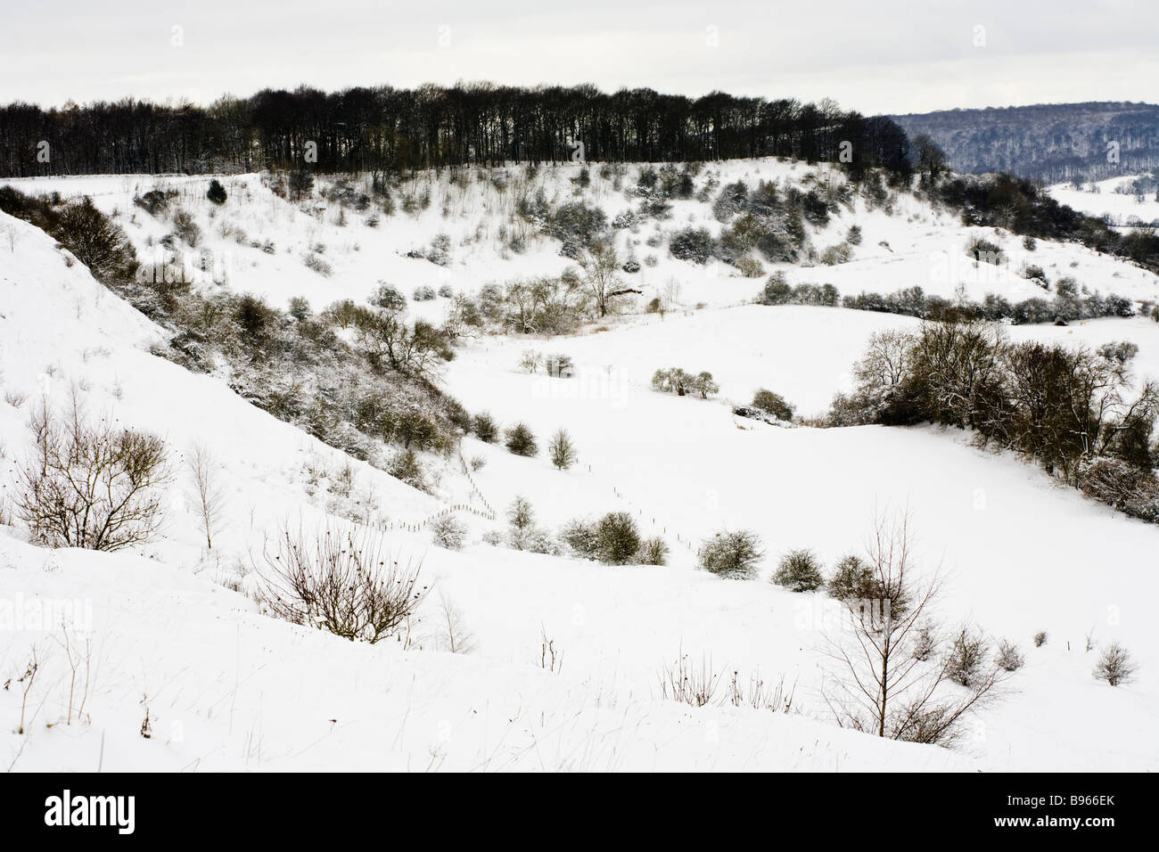 Winterschnee auf die Cotswold Böschung am Barrow Wake, Gloucestershire Stockfoto