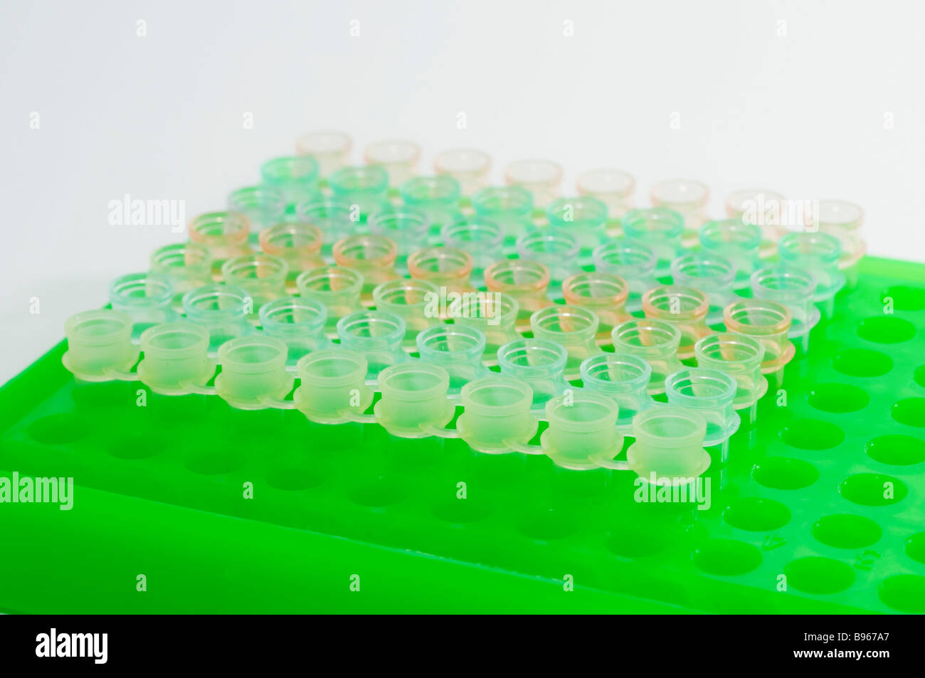 96-well-Platte, in der medizinischen und biologischen Forschung verwendet Stockfoto