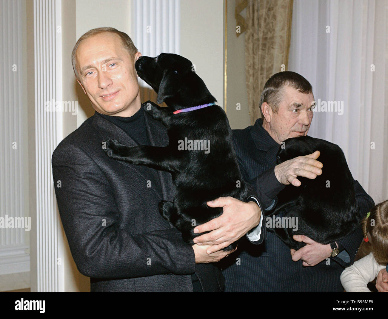 Gennemsigtig bølge Fru Der russische Präsident Vladimir Putin präsentiert Welpen geboren, um  seinen Hund Labrador Connie für Rentner aus Rostov Region Alexei  Stockfotografie - Alamy