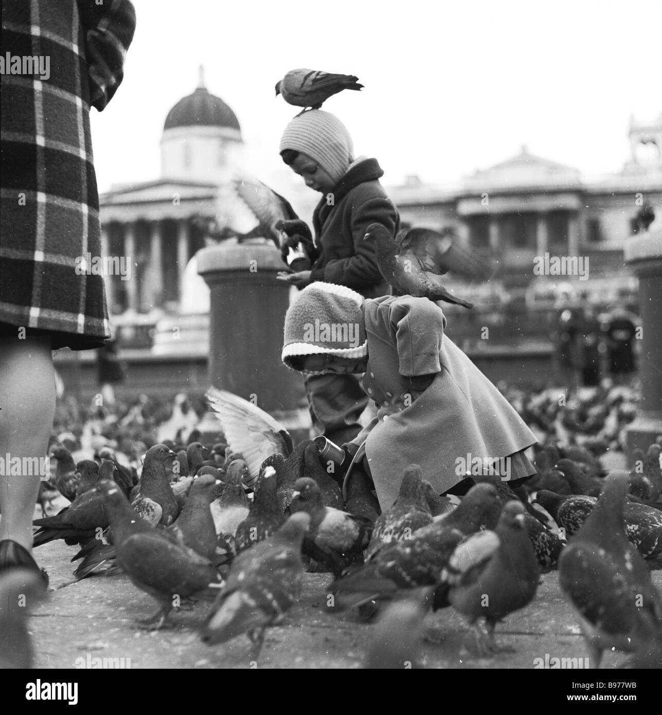 In den 1950er Jahren umgeben Tauben zwei kleine Kinder am Trafalgar Square, London, England. Eine Taube sitzt auf dem Kopf eines Kindes, während sie sie mit getrockneten Erbsen füttern. Stockfoto