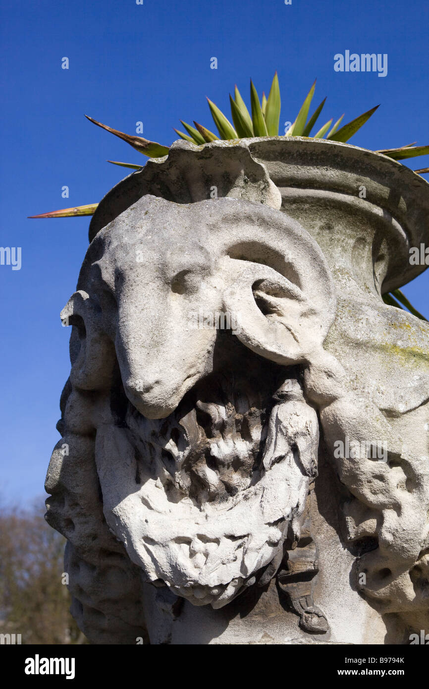 Schaf Gesicht Pflanze Topflappen in der italienischen Gärten Kensington Gardens-London-UK Stockfoto