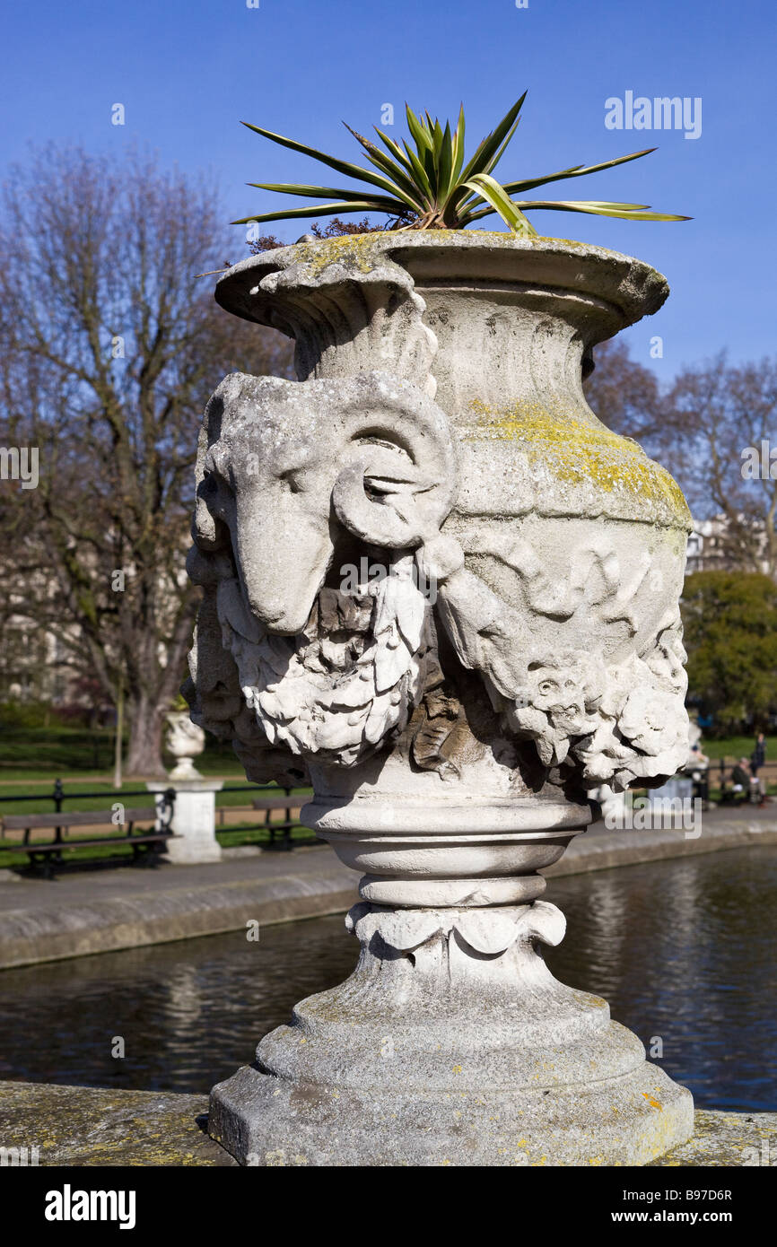 Schaf Gesicht Pflanze Topflappen in der italienischen Gärten Kensington Gardens-London-UK Stockfoto