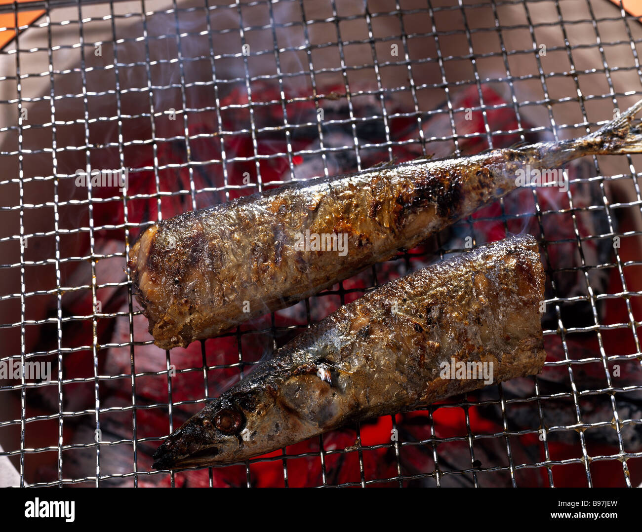 Gebratenen Makrelenhecht mit Salz Stockfoto