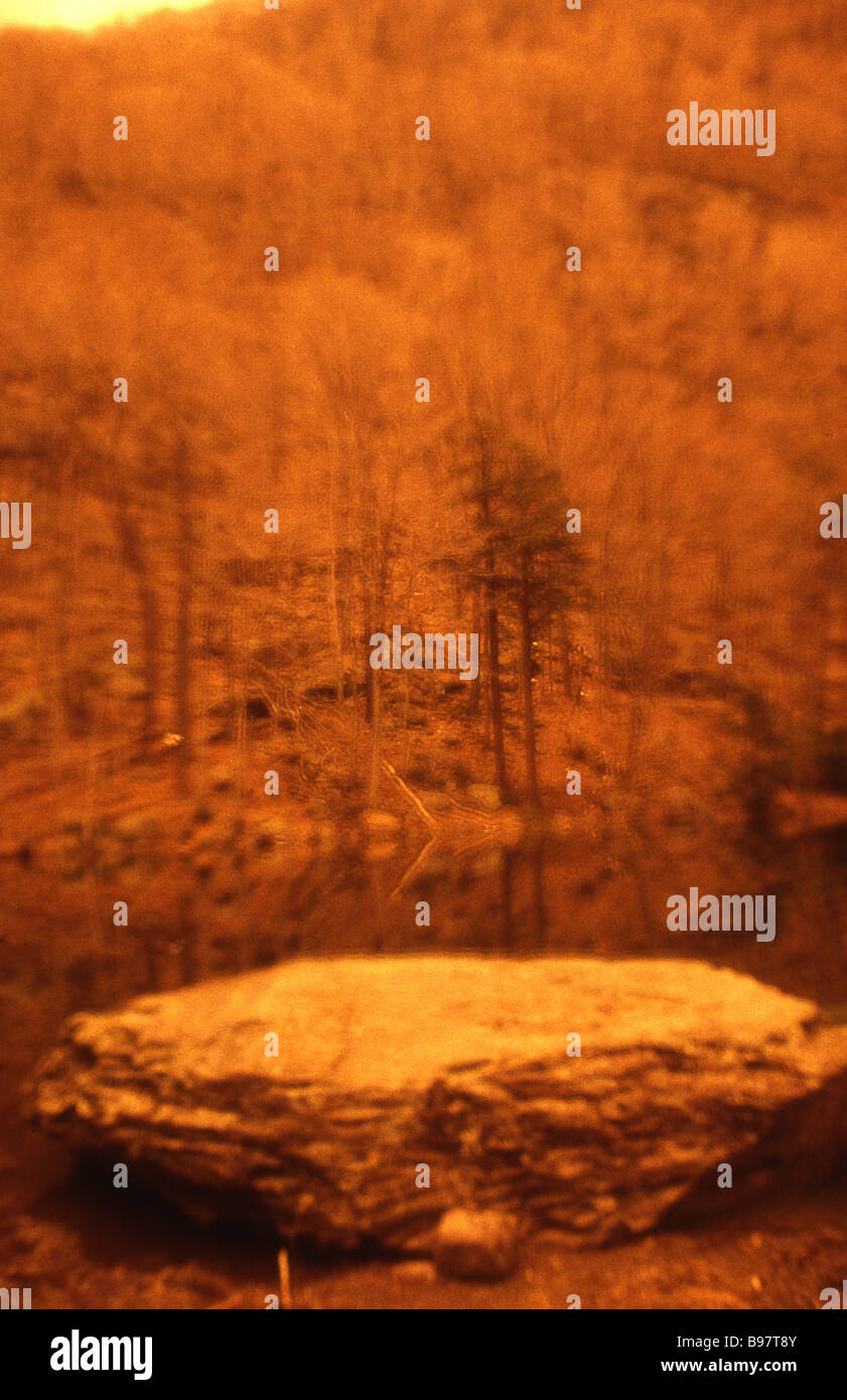 Beauiful Warm-farbenen Sturz oder Winterlandschaft von Bäumen, Felsen und ein See Stockfoto