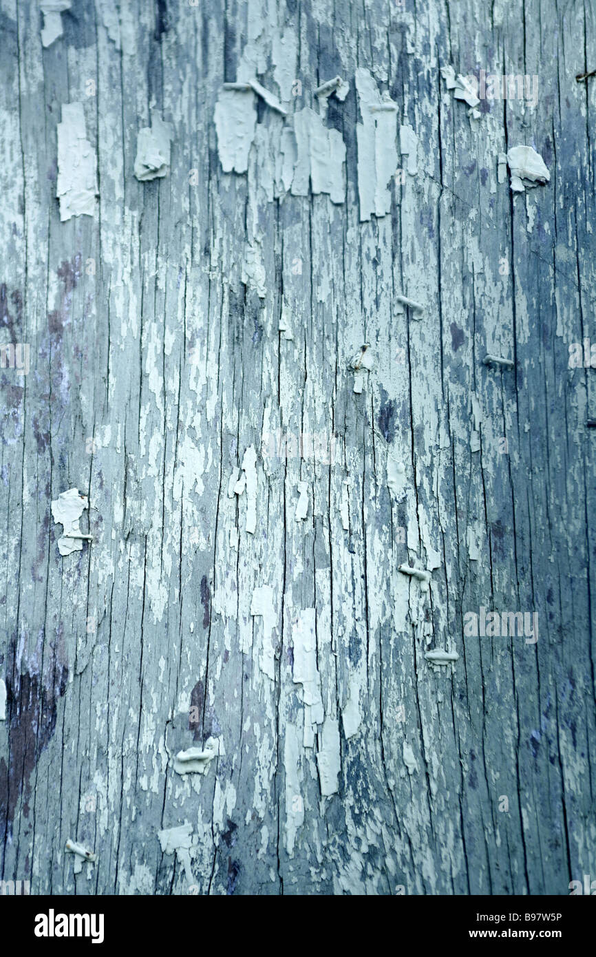eine verwitterte Holzoberfläche Stockfoto