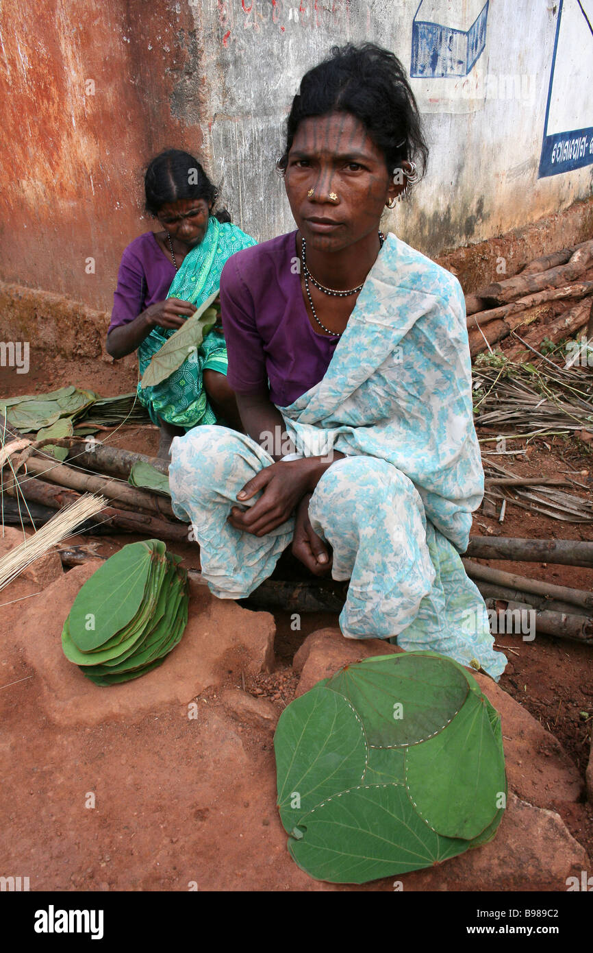 Zwei tätowierte Kutia Kondh Stamm Frauen machen Blatt Platten aus Sal Shorea Robusta Blättern, Orissa, Indien Stockfoto