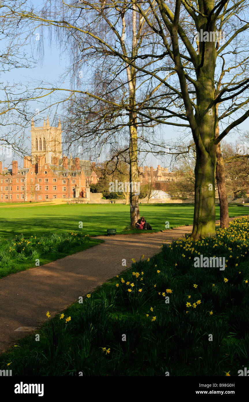 Der Rücken im Frühjahr auf St. Johns College in Cambridge Stockfoto