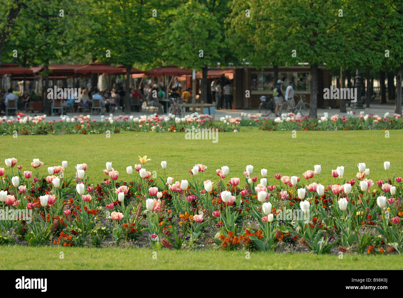 bunte Blumen im Jardin de tuileries Stockfoto