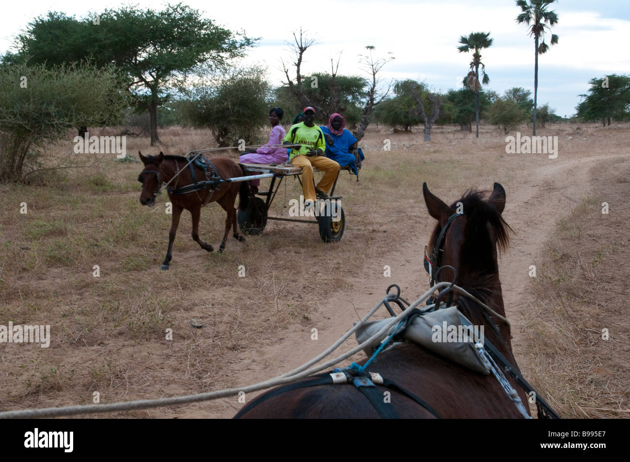 West-Afrika Senegal Saloum Delta Mar Lodj Insel horsecarts Stockfoto