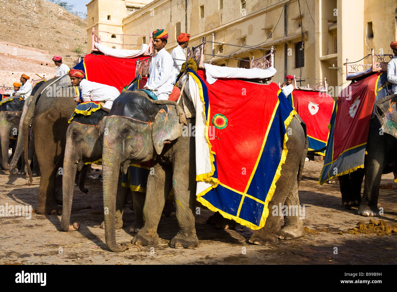 Elefanten und Mahouts, Amber Palast, Bernstein, in der Nähe von Jaipur, Rajasthan, Indien Stockfoto