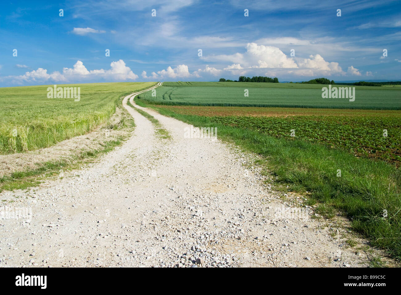Feldweg durch eine wunderschöne Landschaft Stockfoto