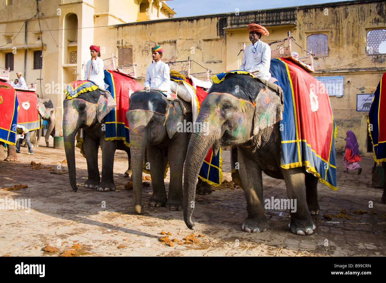 Elefanten und Mahouts, Amber Palast, Bernstein, in der Nähe von Jaipur, Rajasthan, Indien Stockfoto