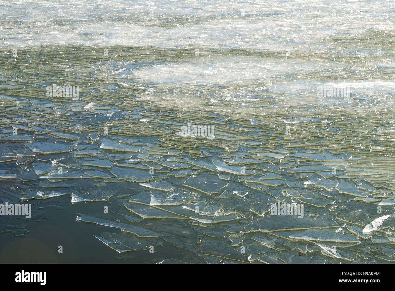 Seeeis gestapelt in gebrochenen Blättern auf Lake Suwa, Nagano, Japan Stockfoto