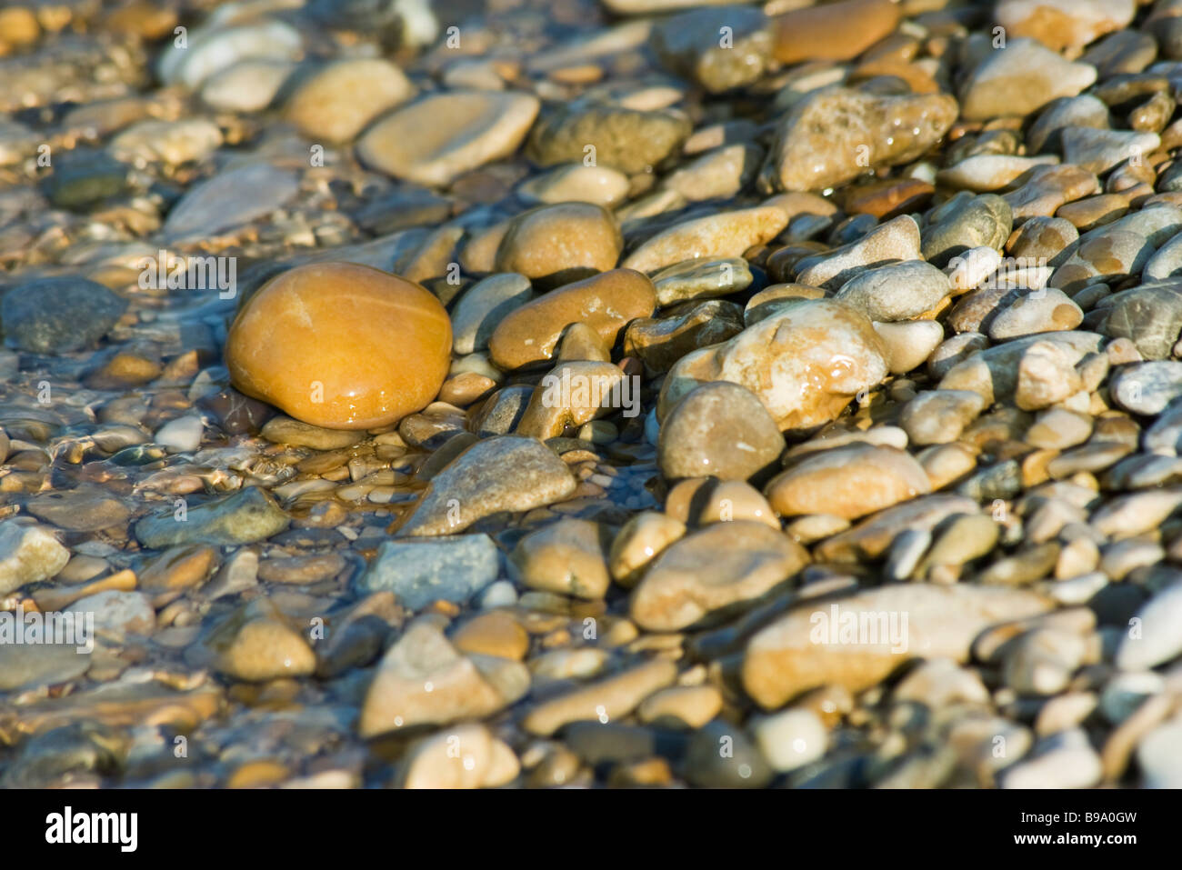 Kiesel, close-up Stockfoto