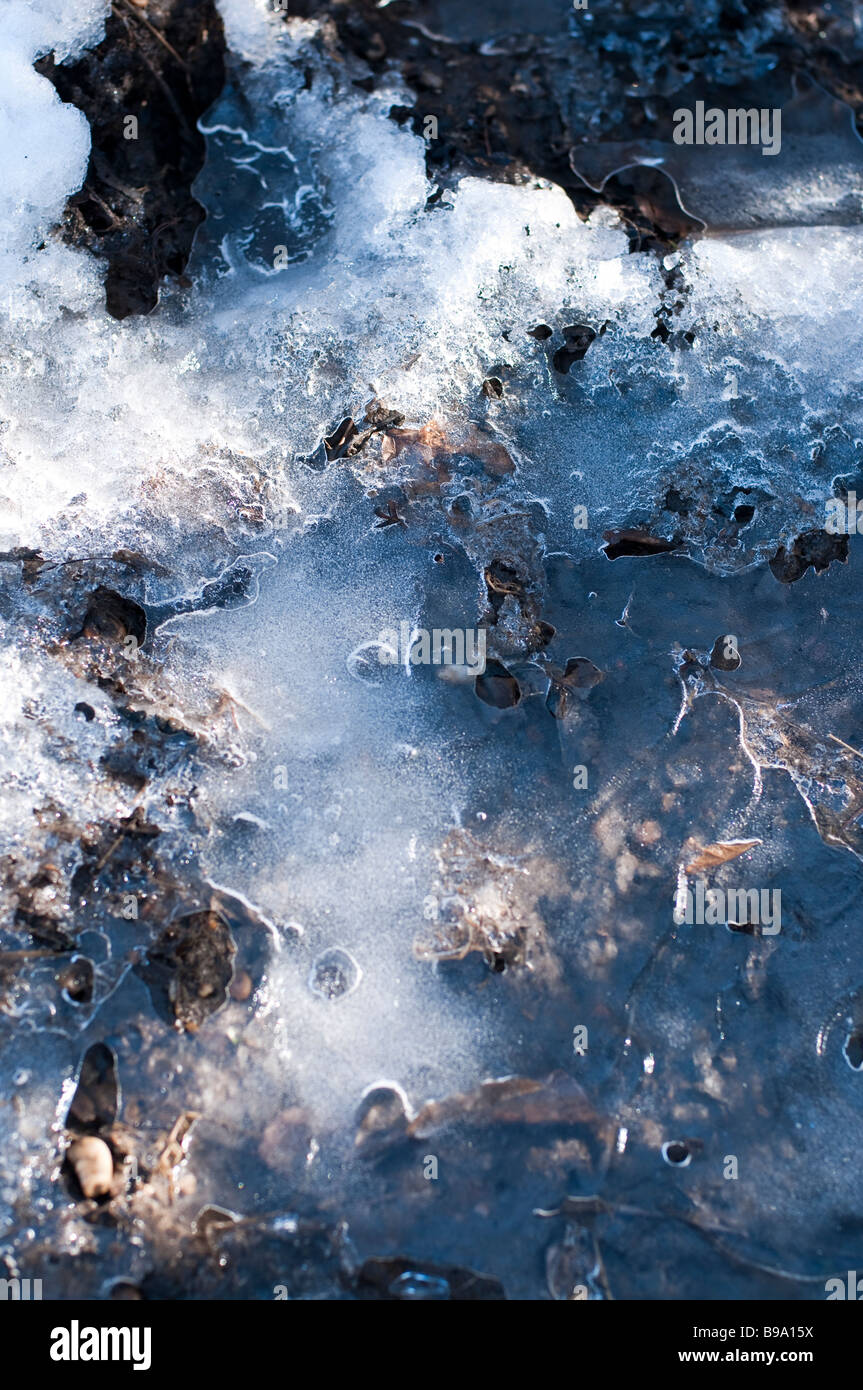 Eis auf einem gefrorenen Pfütze Stockfoto