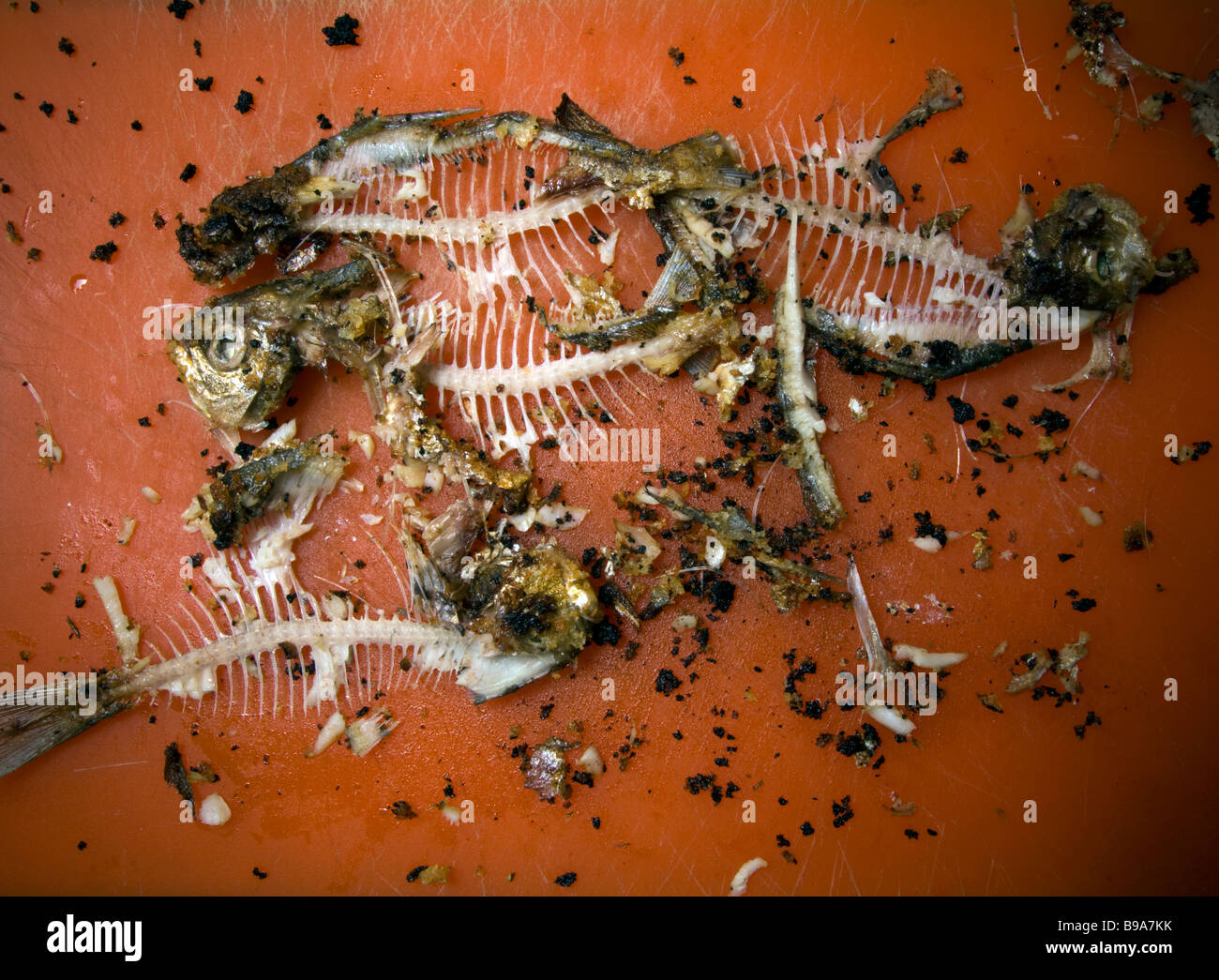 Kleinen Pfanne gebratener Fisch nach dem Garen Richard B Levine entbeint Stockfoto