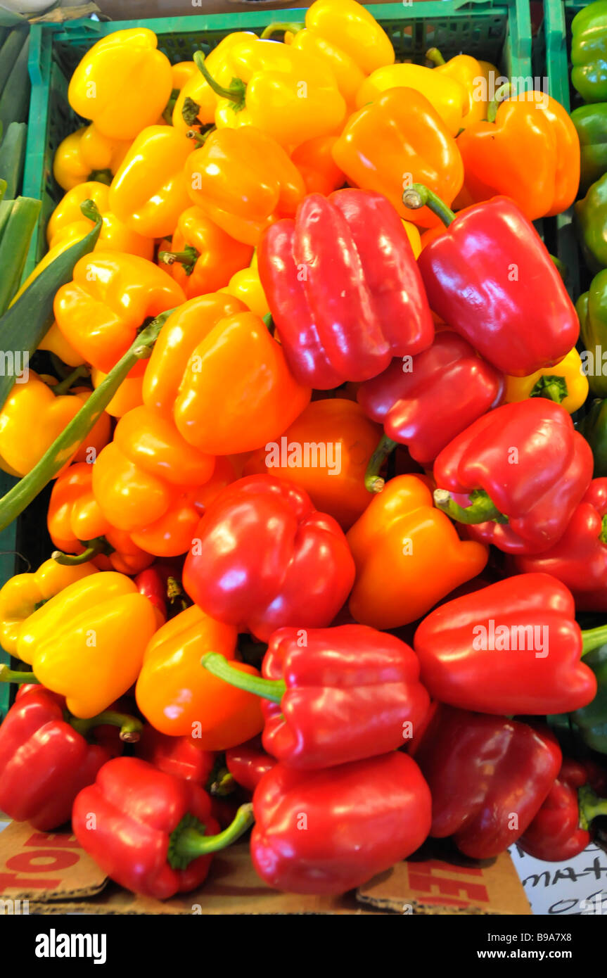 Gelb grün rot Orange Paprika produzieren Display an Bauer s Flohmarkt florida Stockfoto