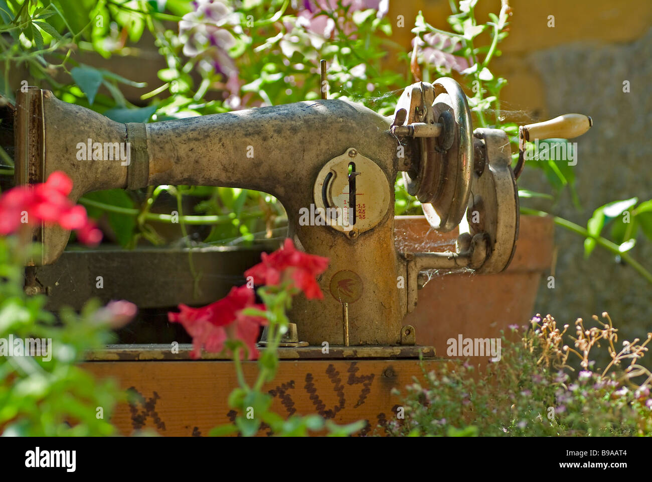 alte Nähmaschine in einem alten verwilderten Garten Stockfotografie Alamy