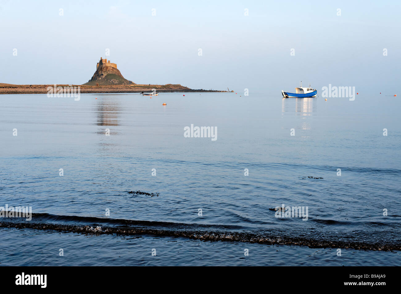 Lindisfarne Schloß Holy Island Northumberland Stockfoto