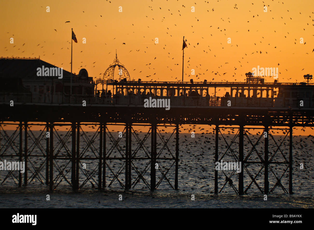 Brighton Palace Pier Sonnenuntergang am Meer Küstenstadt am sonnigen Tag Sussex England uk Europa Stockfoto
