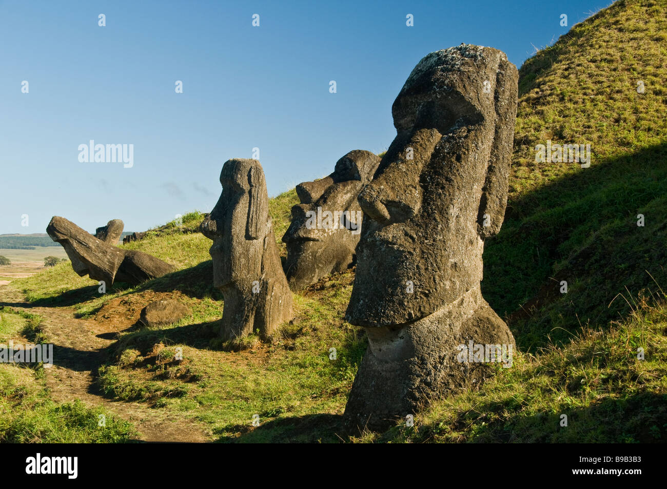 Osterinsel, Steinbruch, Rano Kau, Moais Stockfoto